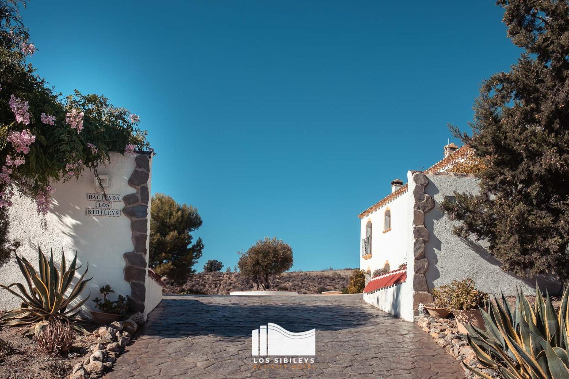 Hotel Los Sibileys Henares エクステリア 写真