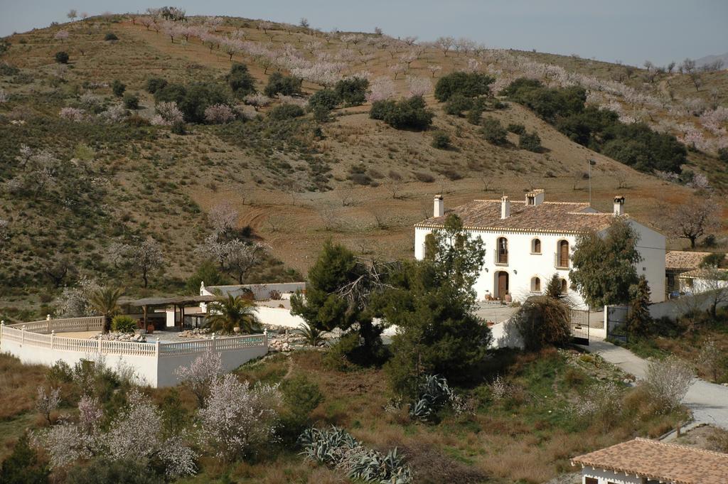 Hotel Los Sibileys Henares エクステリア 写真
