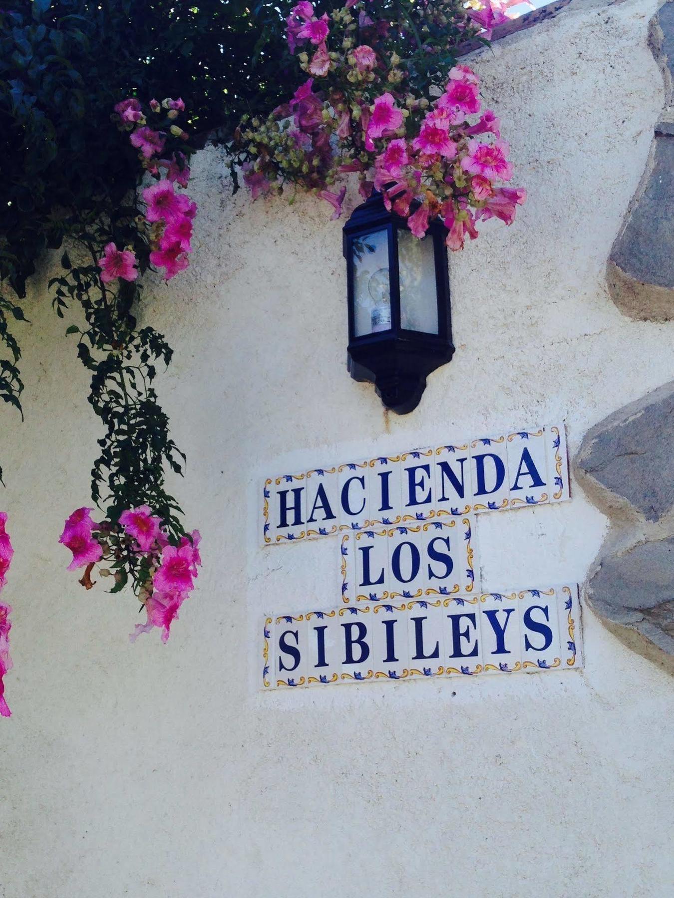 Hotel Los Sibileys Henares エクステリア 写真